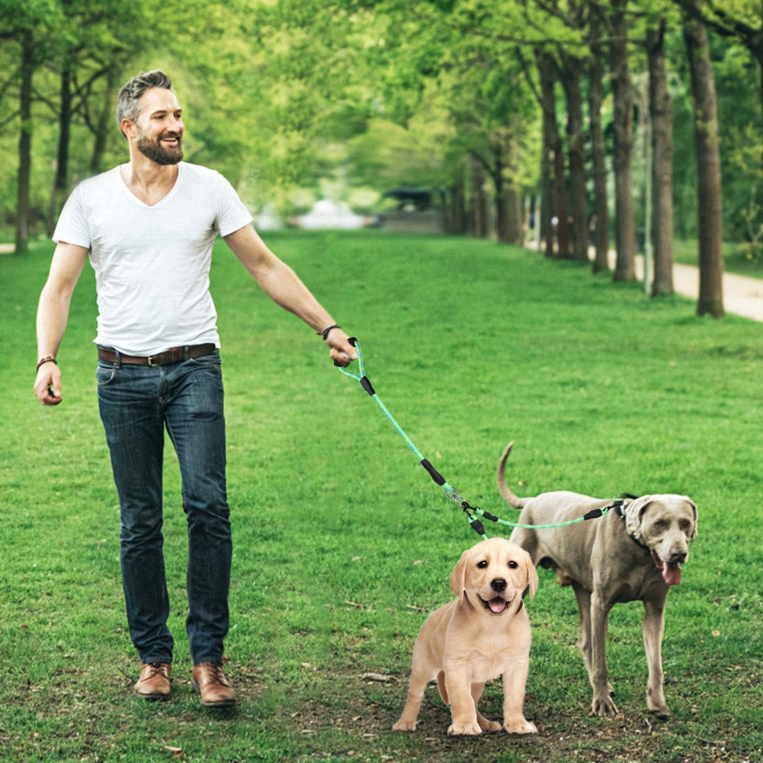 Tangle-Free Double Dog Reflective Leash