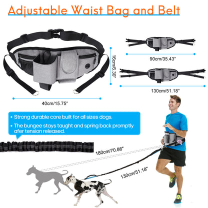 Reflective Bungee Hands Free Adjustable Dog Leash