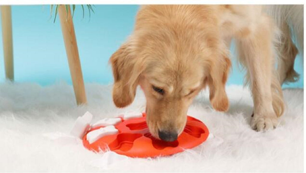Smart Dog Interactive Training Treat Puzzle