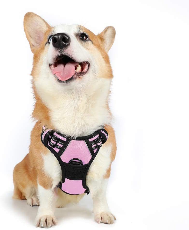 Padded Reflective No-Pull Harness for Dogs