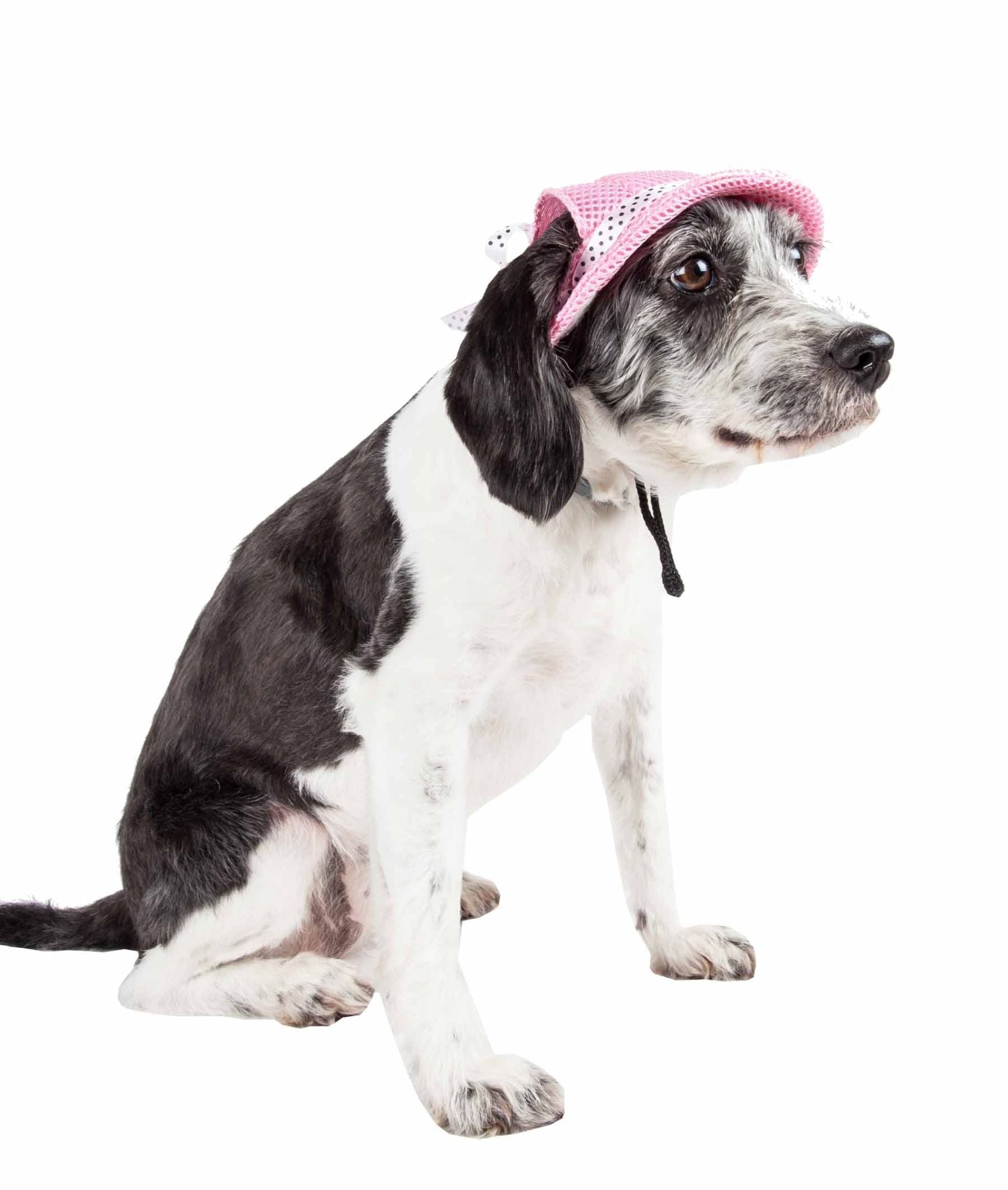 Pet Life Uv Protecting Adjustable Dog Hat