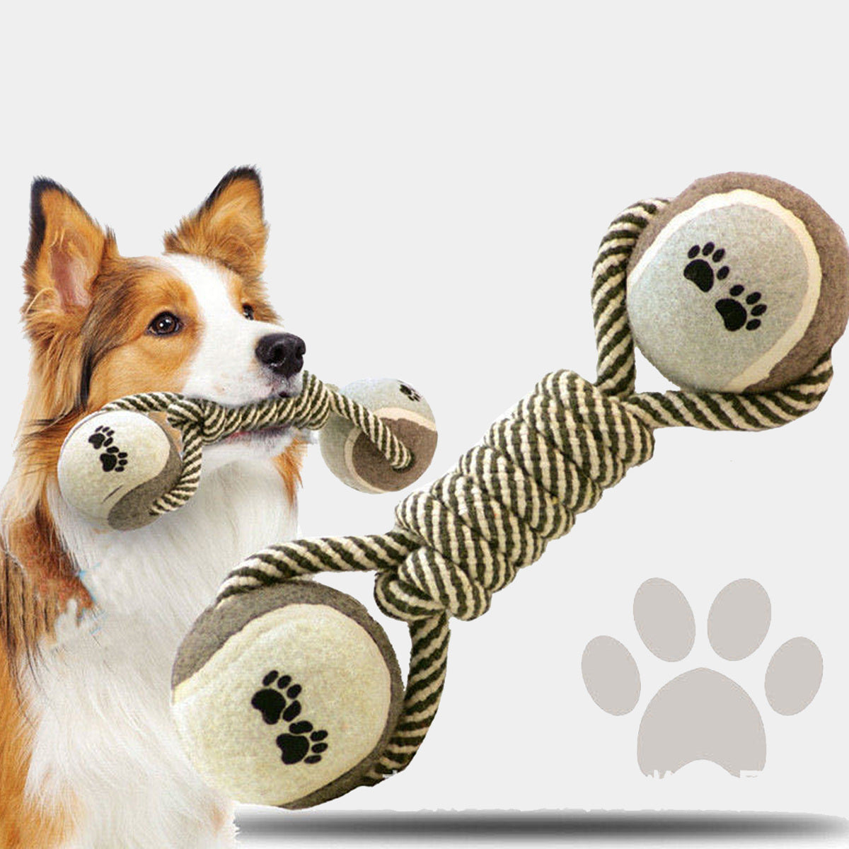 Ball Barbell Cotton Rope Dog Dental Chew