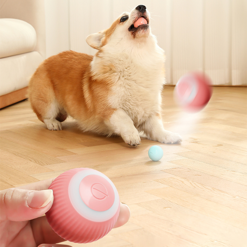 Rolling Ball Toy For Small Dogs and Cats