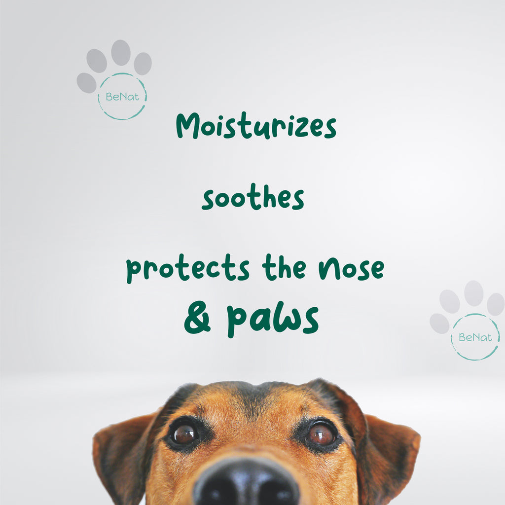 BeNat Pets - Furry Pet Nose and Paw Balm for Dogs