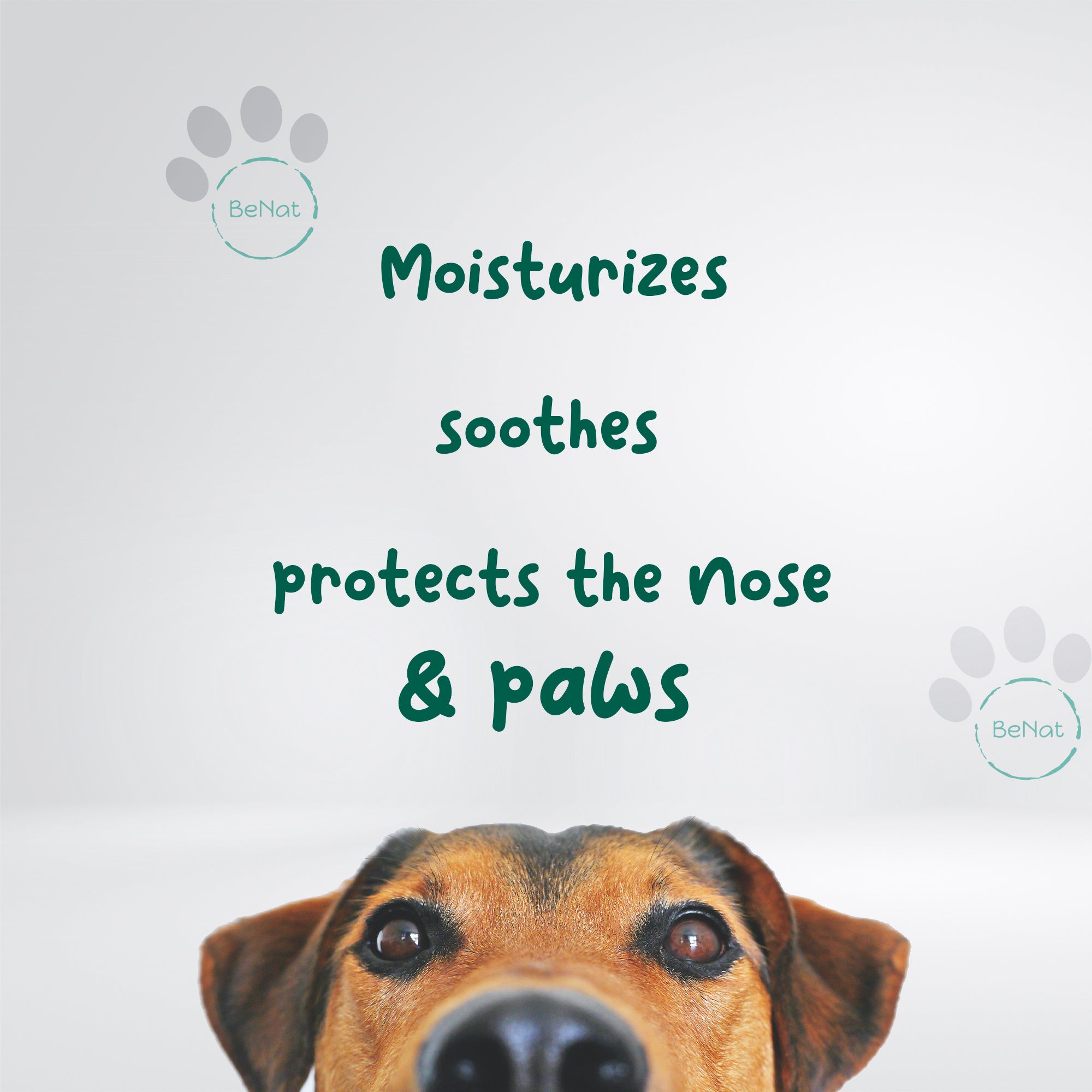 BeNat Pets - Furry Pet Nose and Paw Balm for Dogs