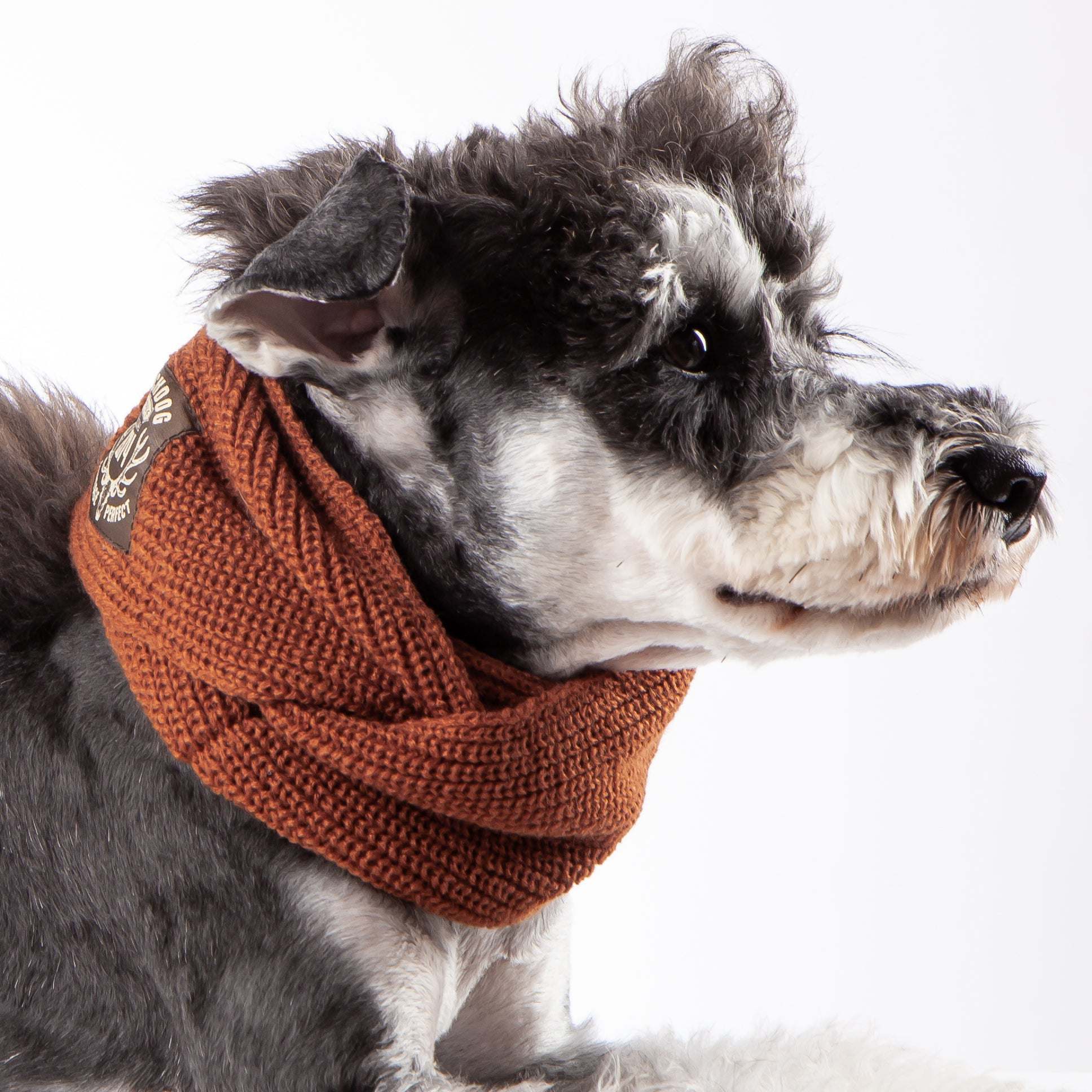 Winter Fashion Knitted Scarves for Dogs