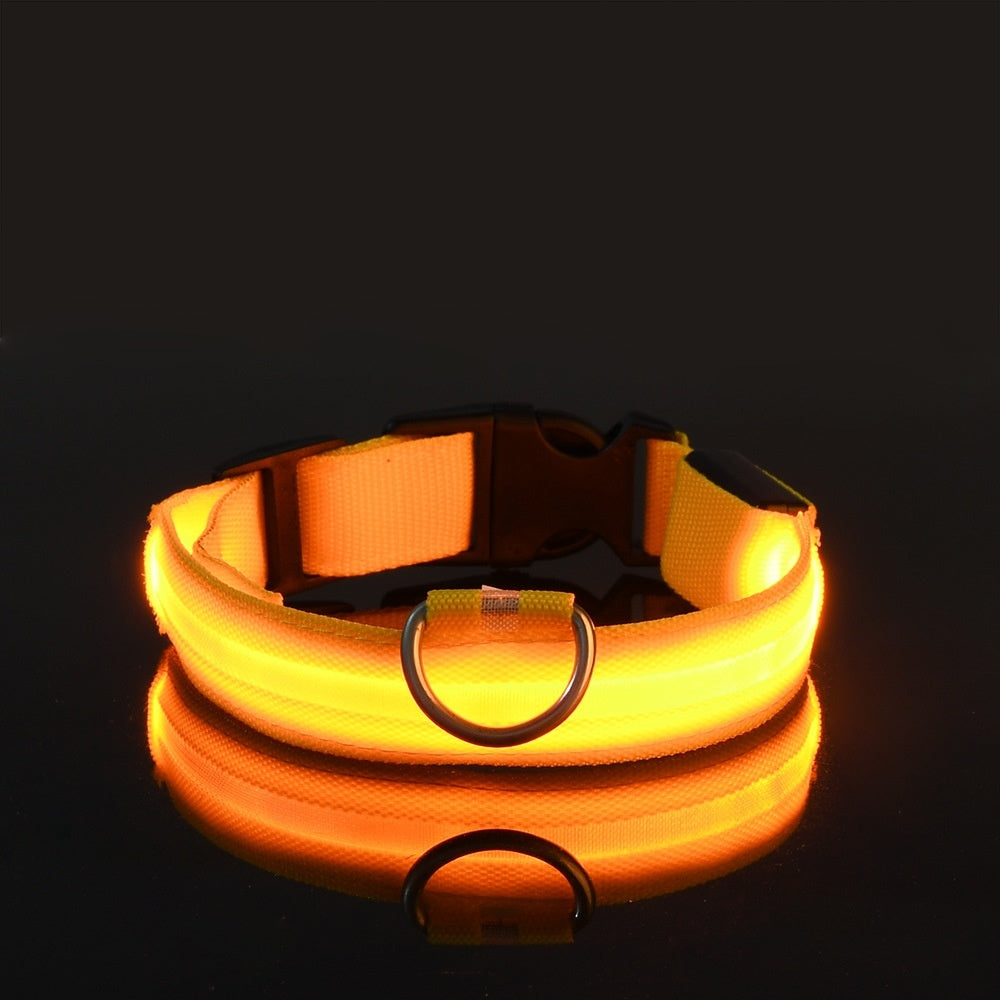 Glow-In-The-Dark Collar LED USB Charging