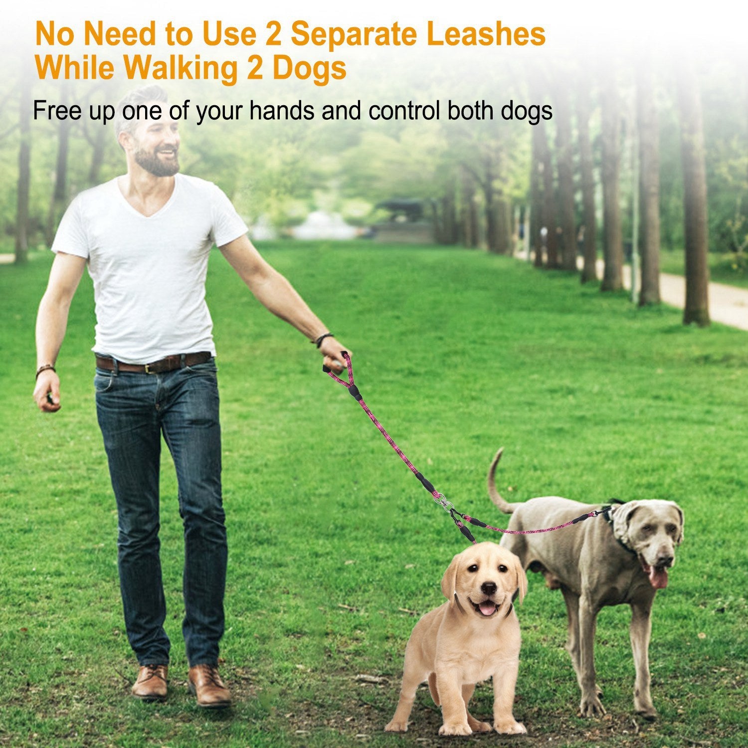 Double Dog Reflective Leash and Lead Combo