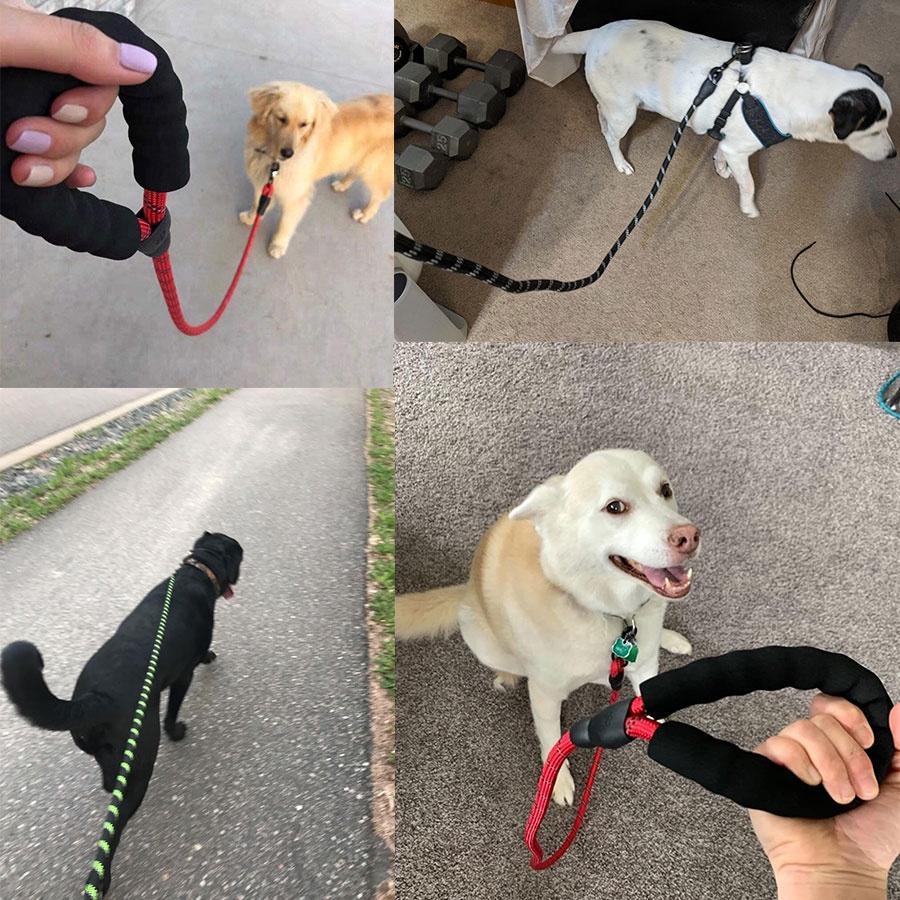 Reflective Strong Dog Leash Padded Handle