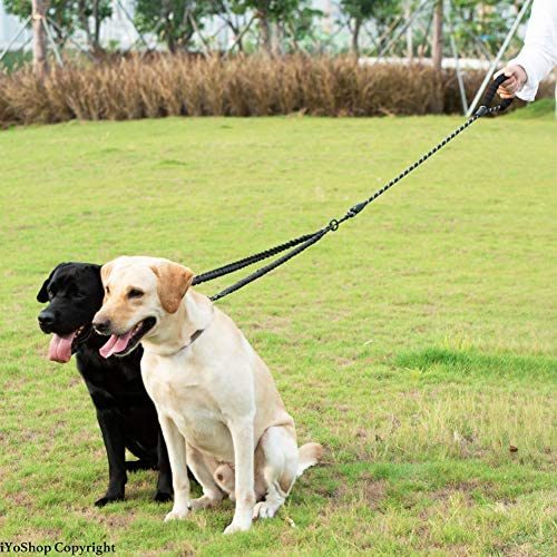 Double Dog Leash No Tangle Absorbing Bungee for Two Dogs