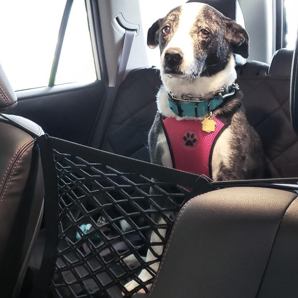 Isolation Net for Vehicle Backseat for Dogs