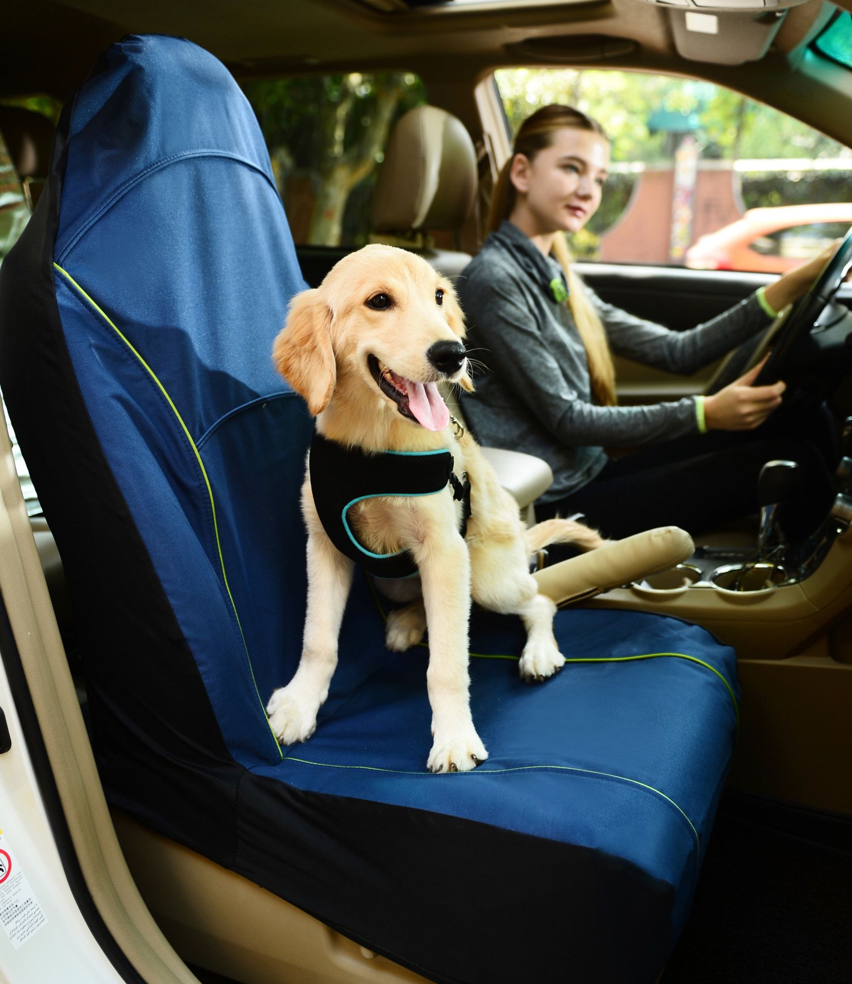 Pet Life Open Road Single Car Dog Seat Cover
