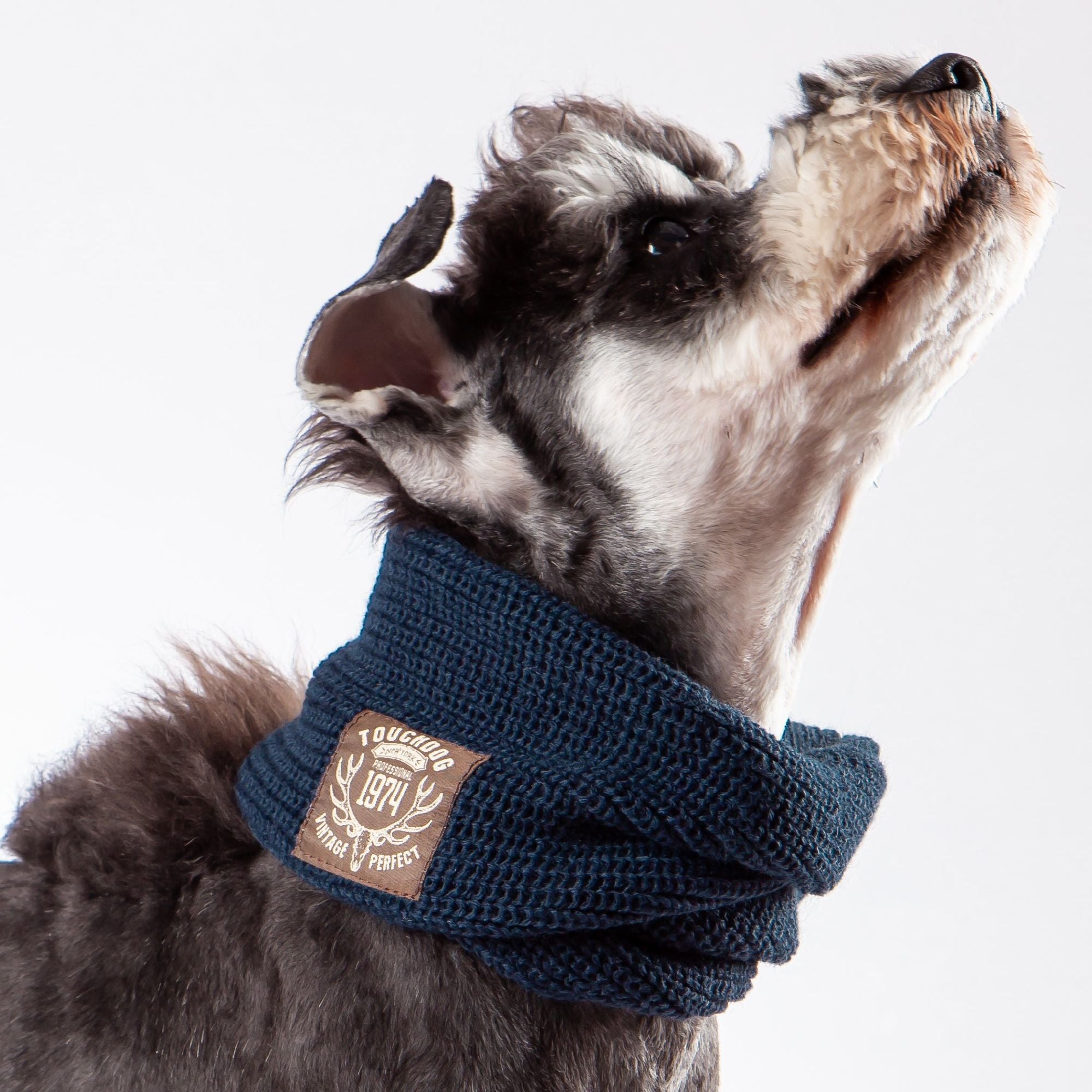 Winter Fashion Knitted Scarves for Dogs