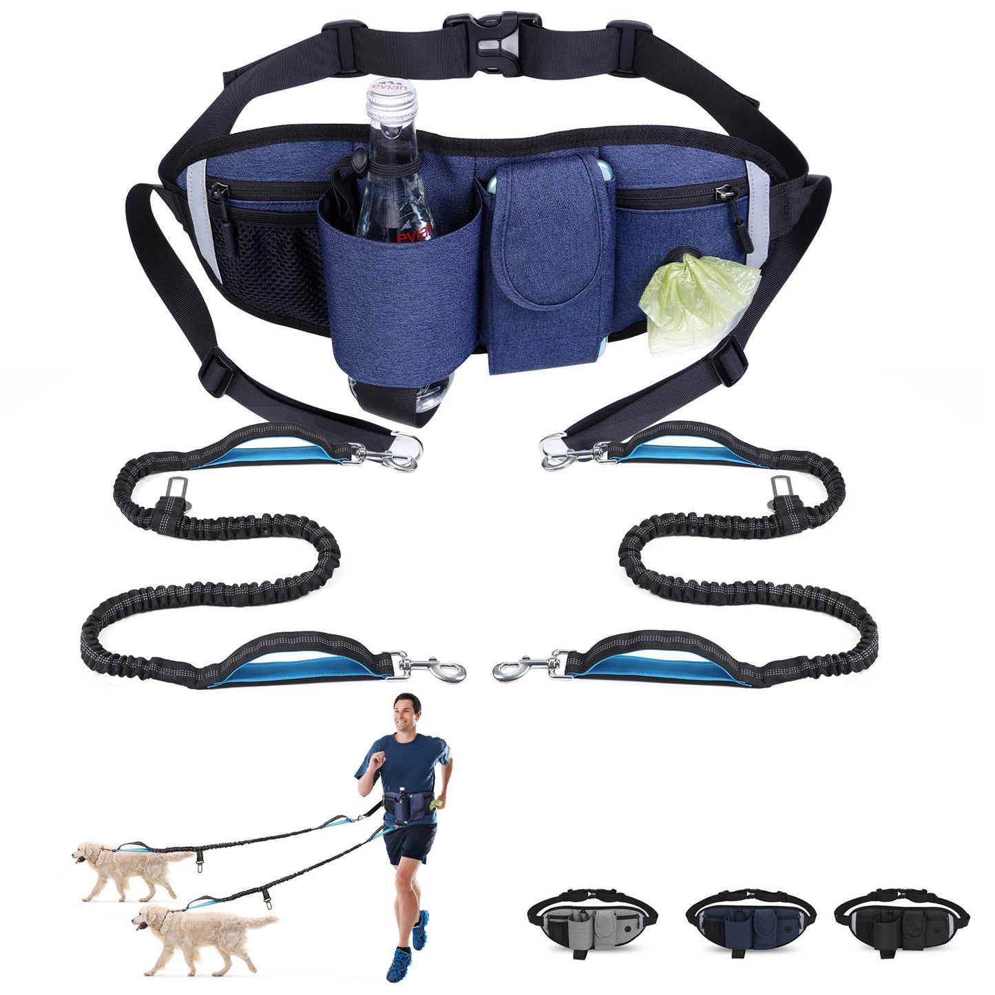 Reflective Bungee Hands Free Adjustable Dog Leash