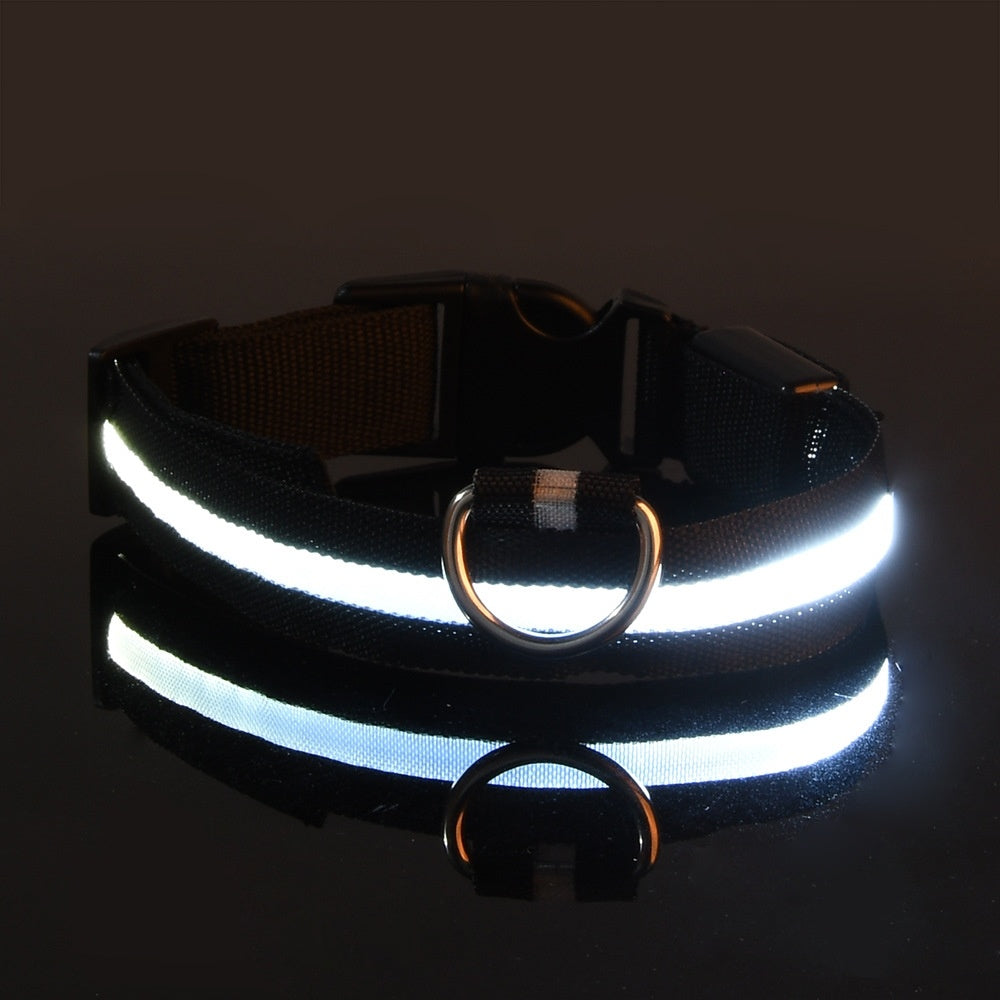 Glow-In-The-Dark Collar LED USB Charging