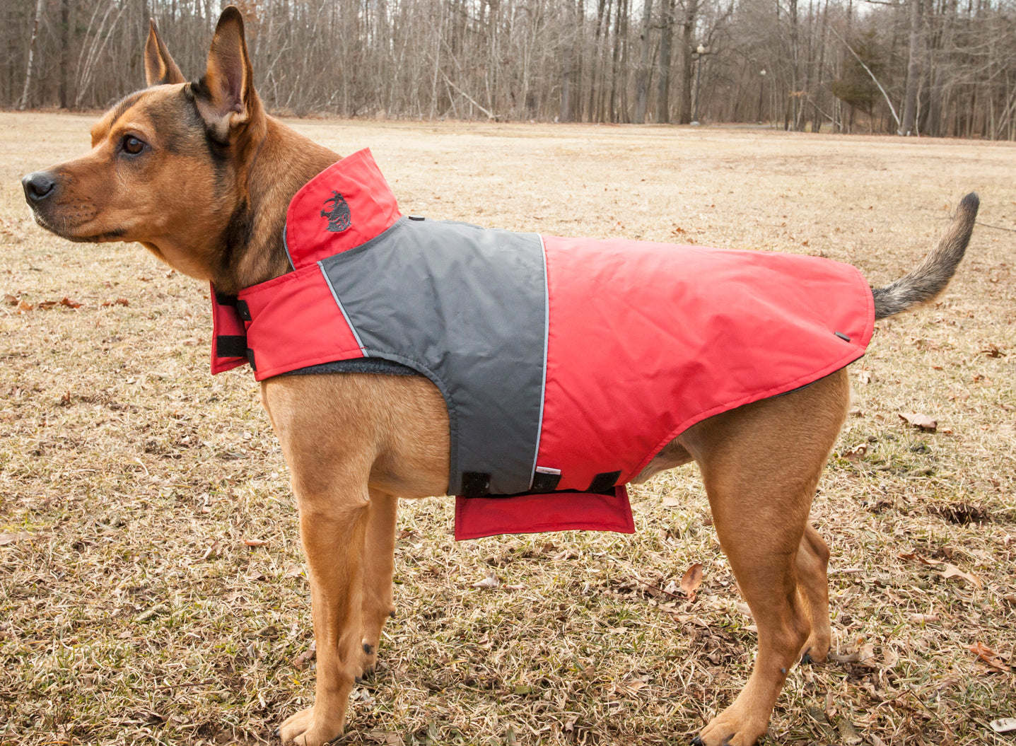 Touchdog Waterproof Convertible Dog Jacket-Red