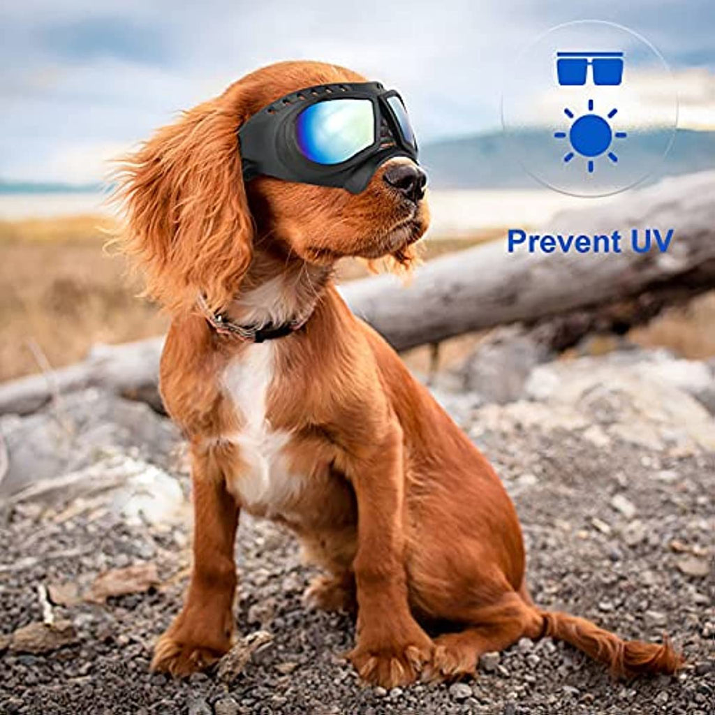 UV Protective Sunglasses for All Breed of Dogs