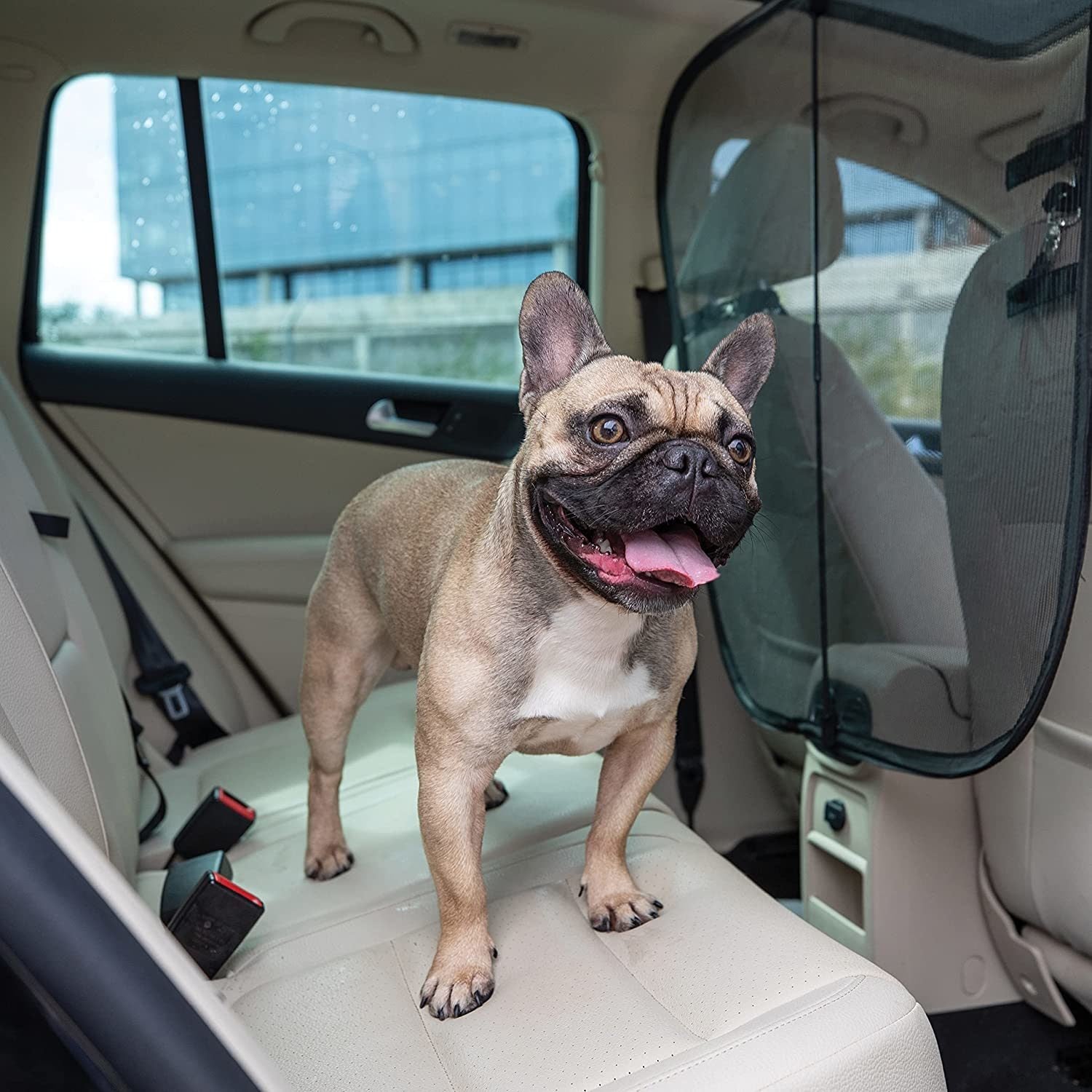 Happy Ride Front Car Seat Barrier for Dogs