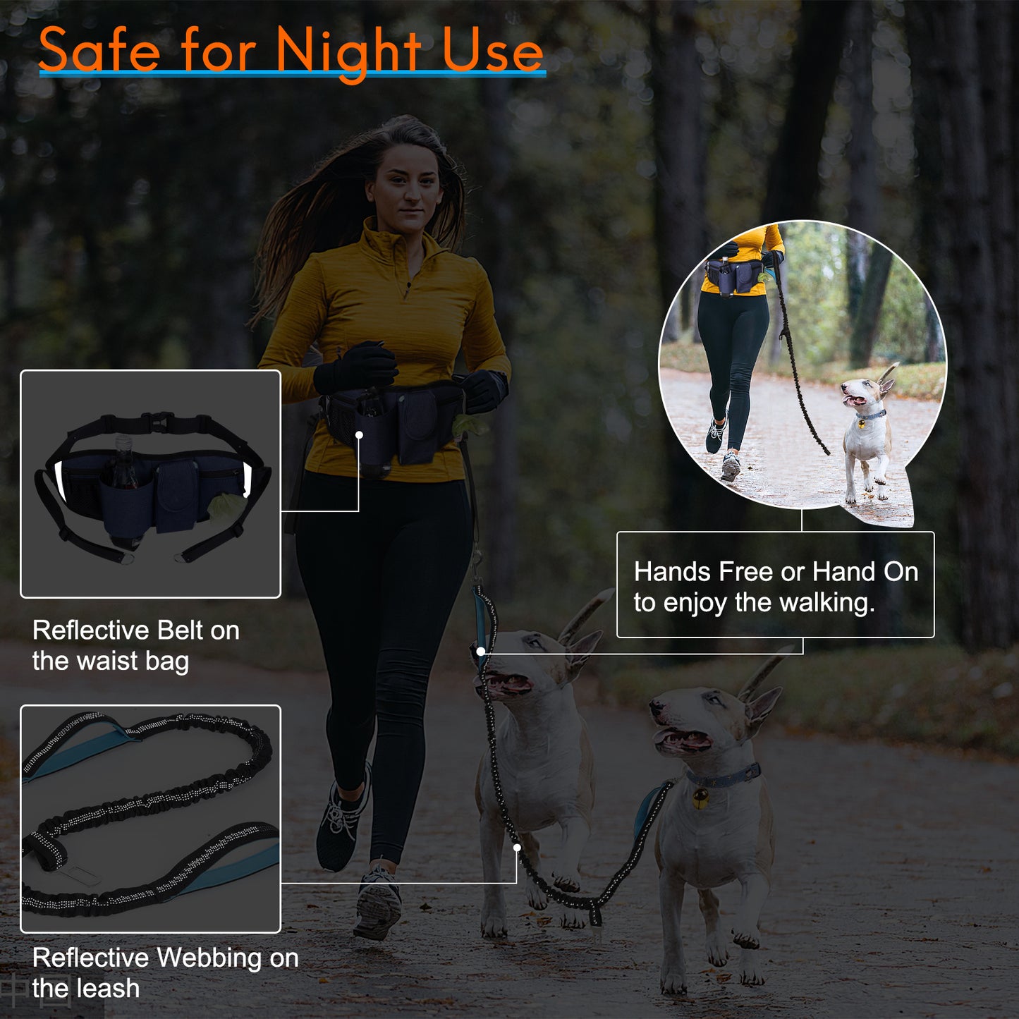 Reflective Bungee Hands Free Adjustable Dog Leash