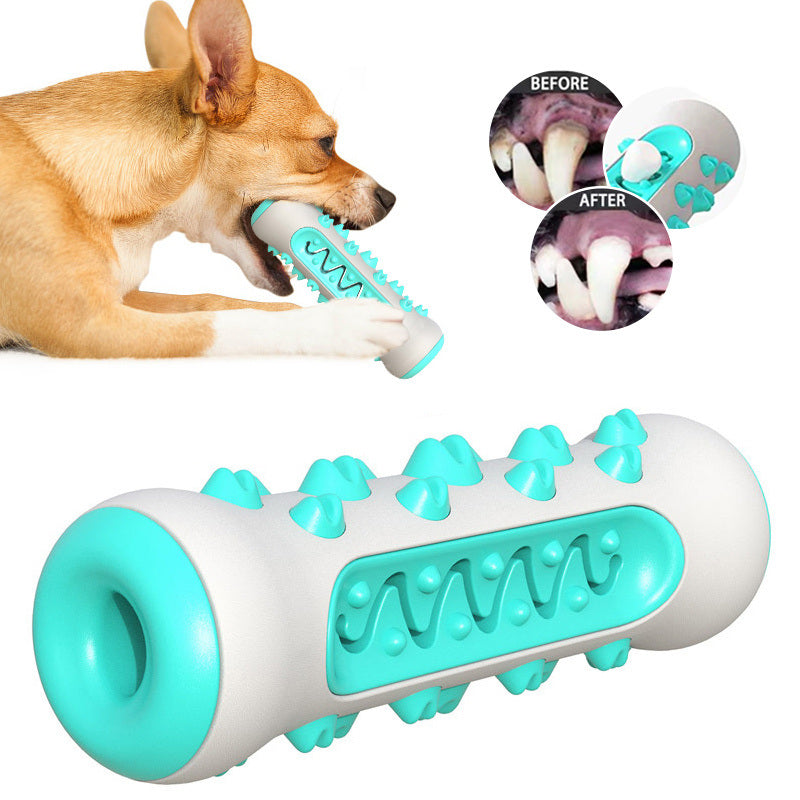 Bite Resistant Dental Dog Chew Squeaky Toys