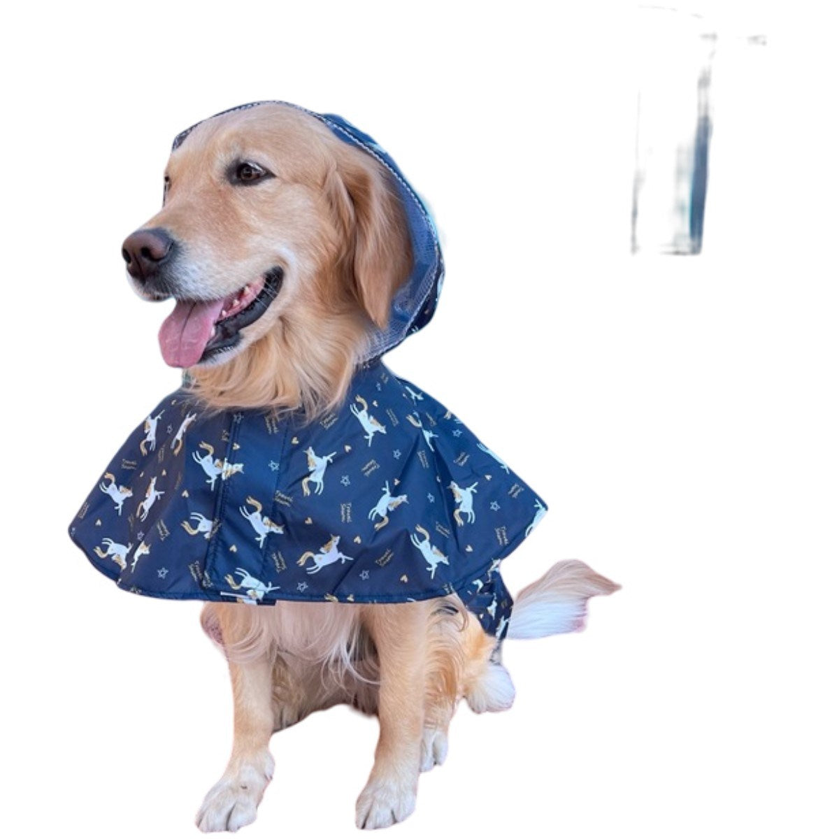 Cute Character Hooded Rain Poncho Cape for Dogs