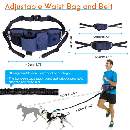 Reflective Bungee Hands Free Adjustable Dog Leash