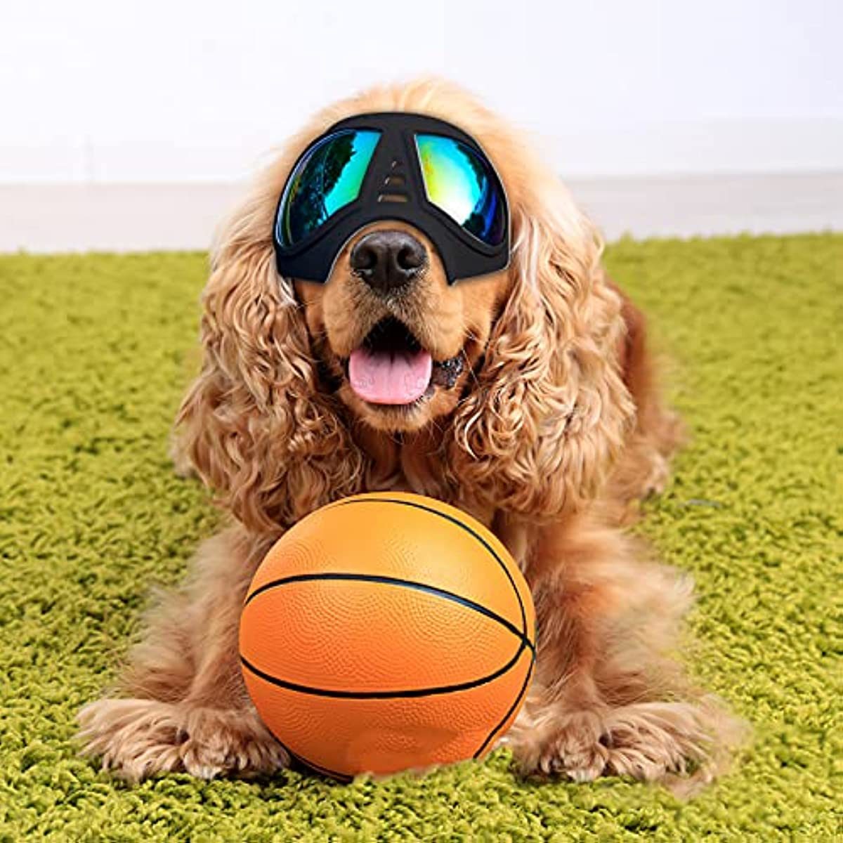 UV Protective Sunglasses for All Breed of Dogs