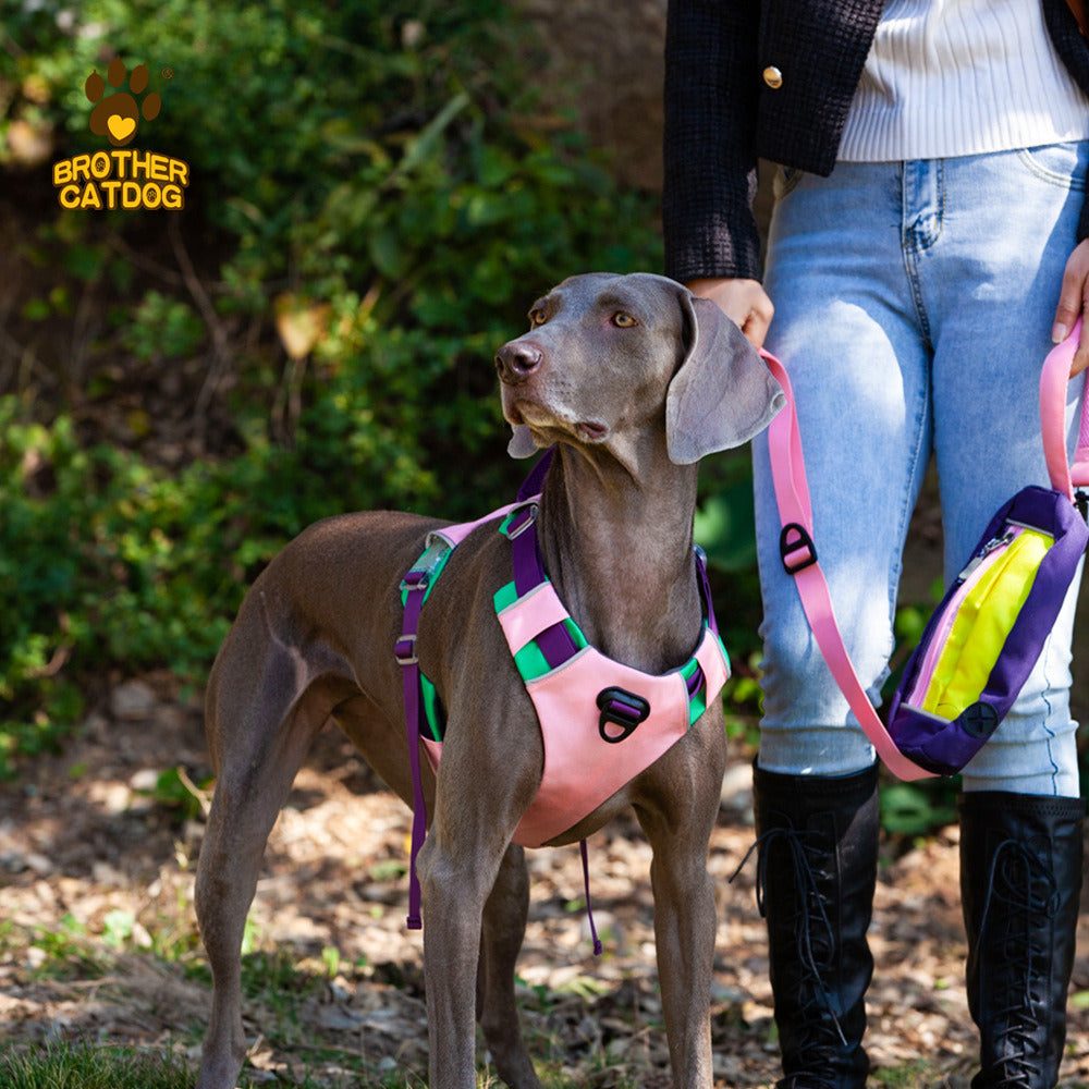 Explosion-Proof Dog Chest Harness with Leash