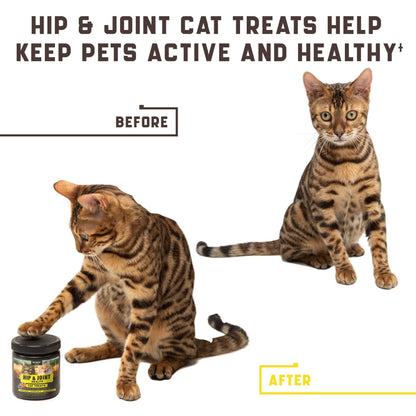 Kinpur - Natural Glucosamine Hip and Joint Support for Cats