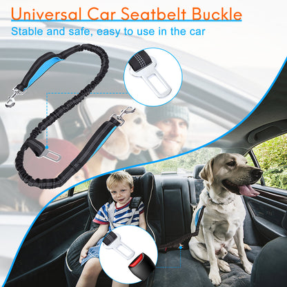 Reflective Bungee Hands Free Adjustable Dog Leash