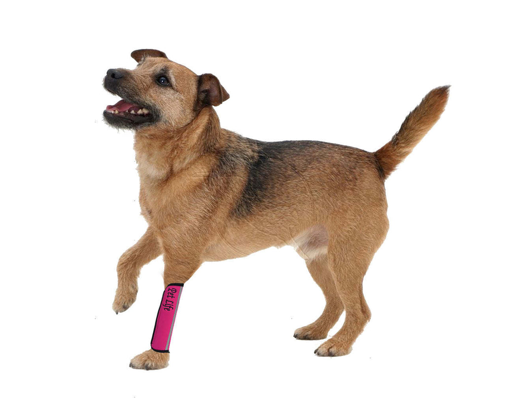 Extreme-Neoprene Protective Joint Sleeves for Dogs - Pink