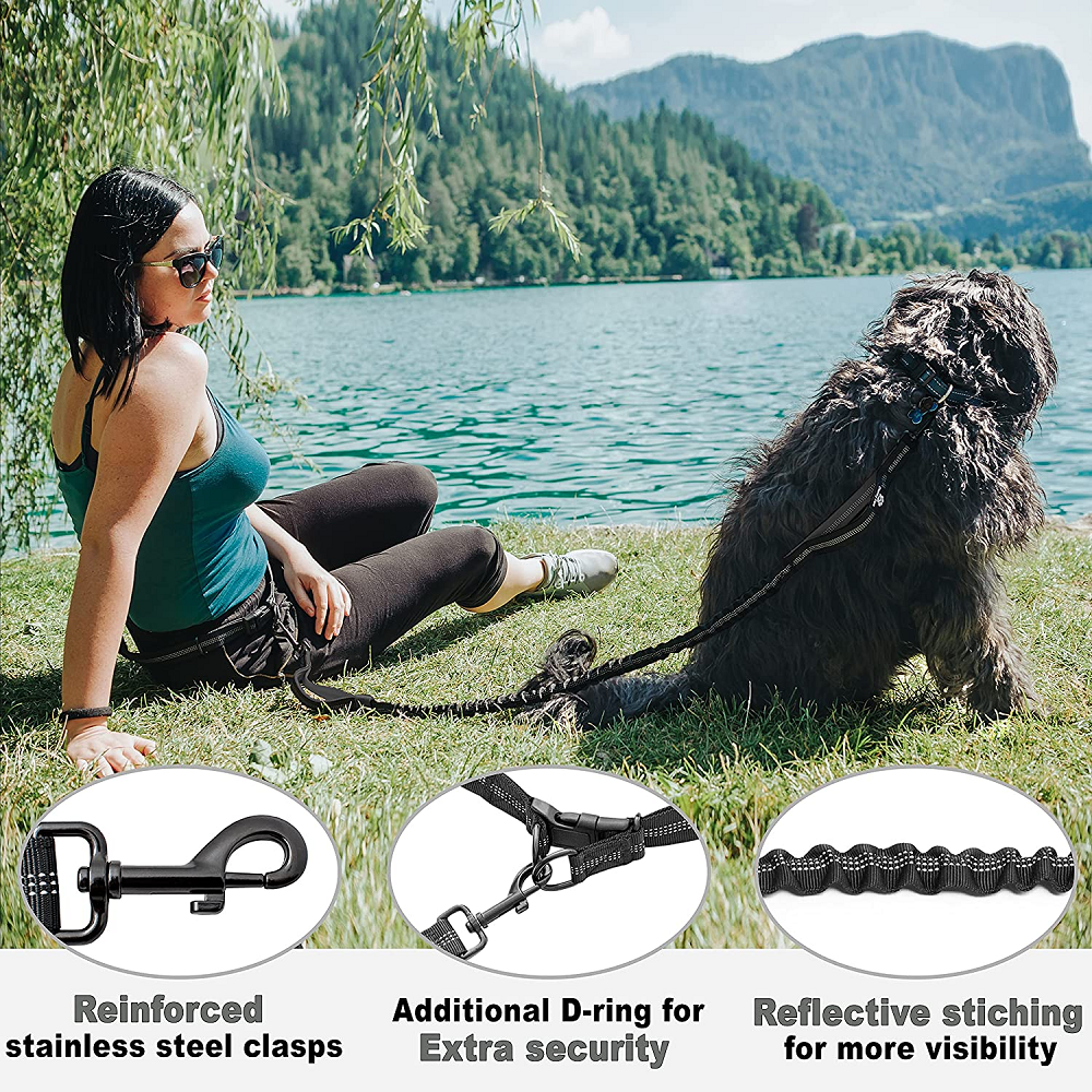 Waist Band with Bungee Hands Free Dog Leash