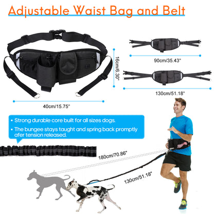 Reflective Bungee Hands Free Adjustable Dog Leash