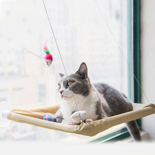 Sill Mounted Window Hammock Perch for Cats