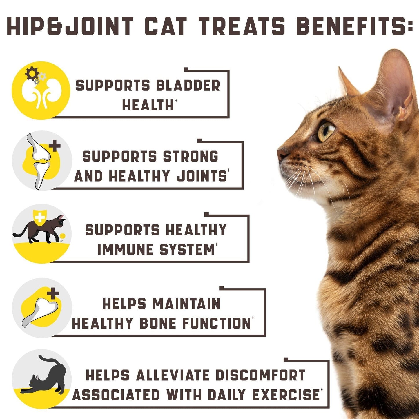 Kinpur - Natural Glucosamine Hip and Joint Support for Cats