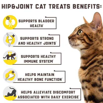 Kinpur - Natural Glucosamine Hip and Joint Support for Cats