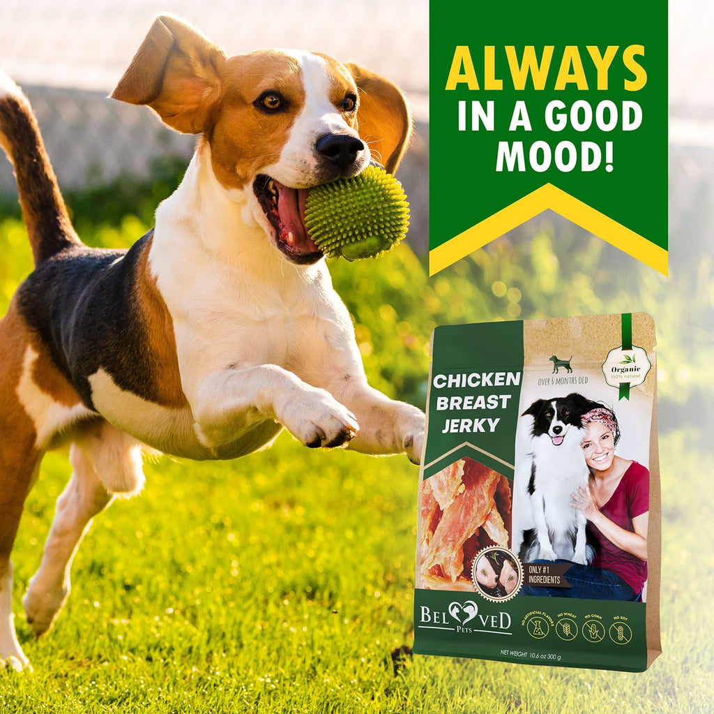 Natural Organic Chicken Jerky Treats for Dogs