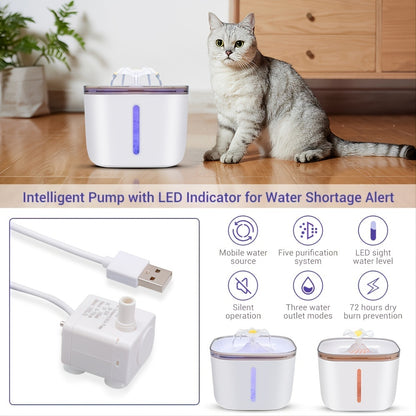 Water Fountain With Low Level Light for Cats