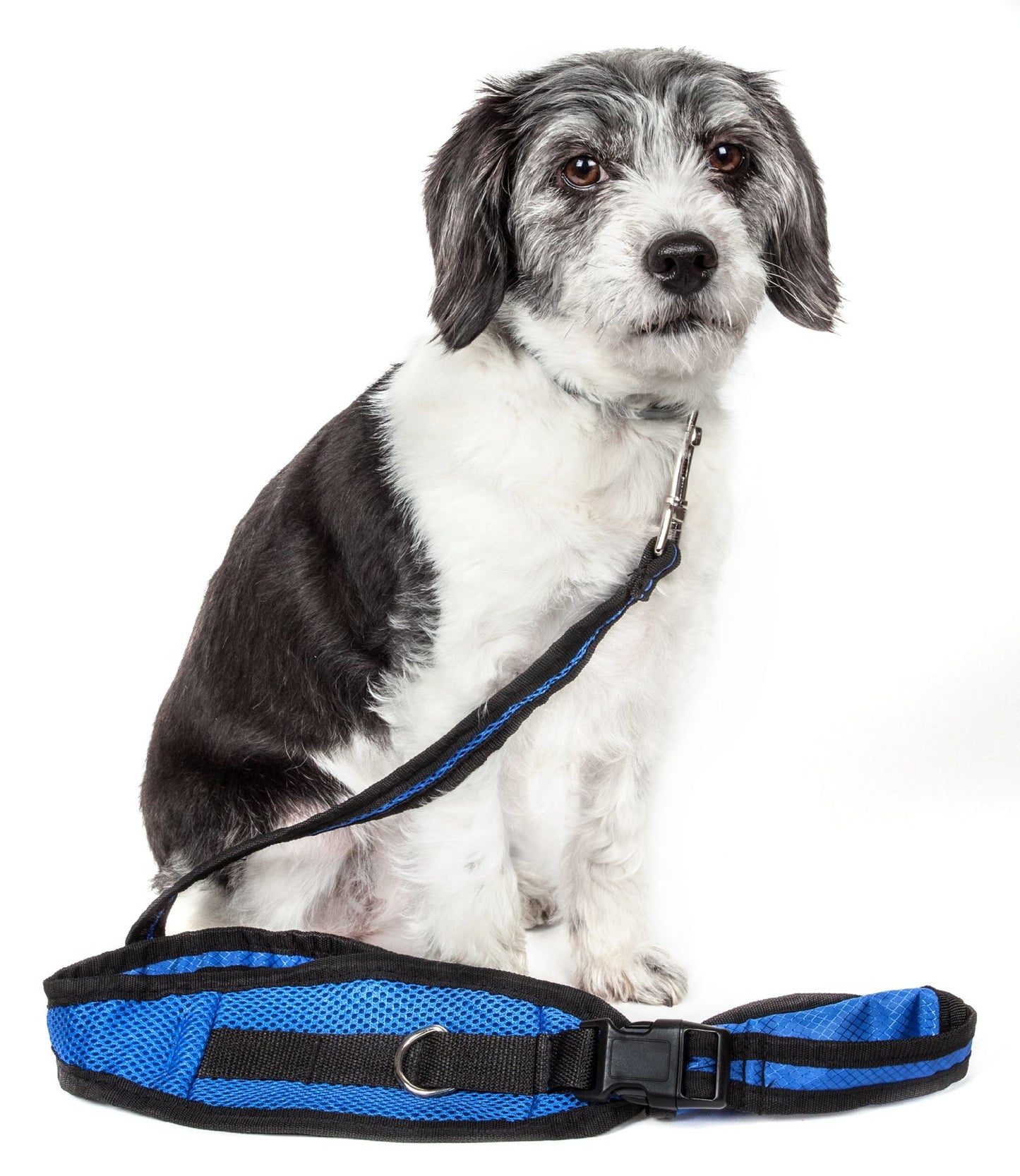 Pet Life -Echelon- Hands Free 2-In-1 Training Leash for Dogs