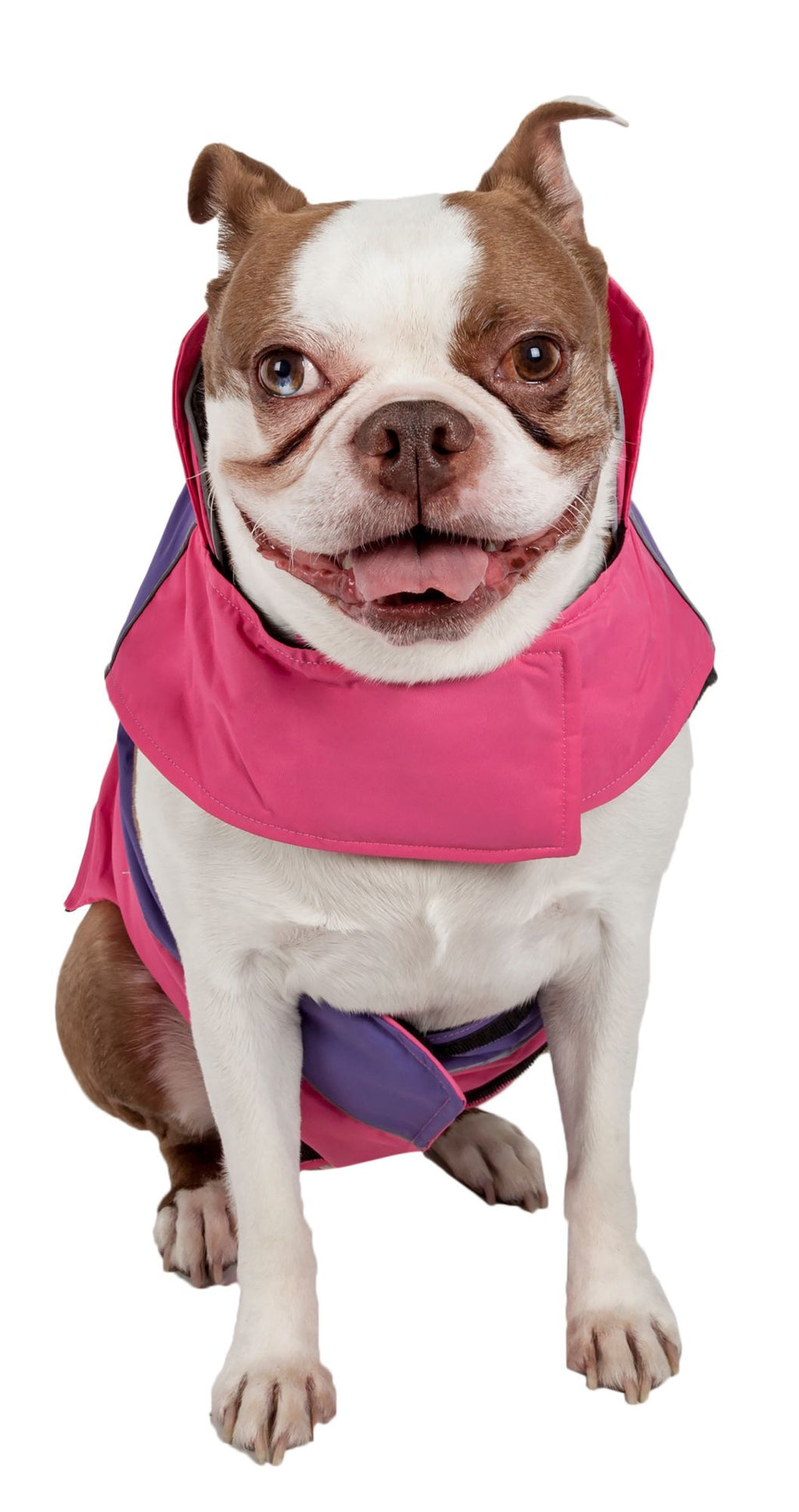 Touchdog Waterproof Convertible Dog Jacket- Pink