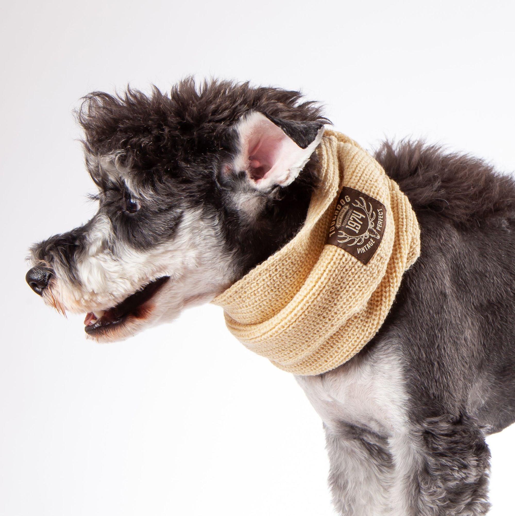 Winter Fashion Knitted Scarves for Dogs