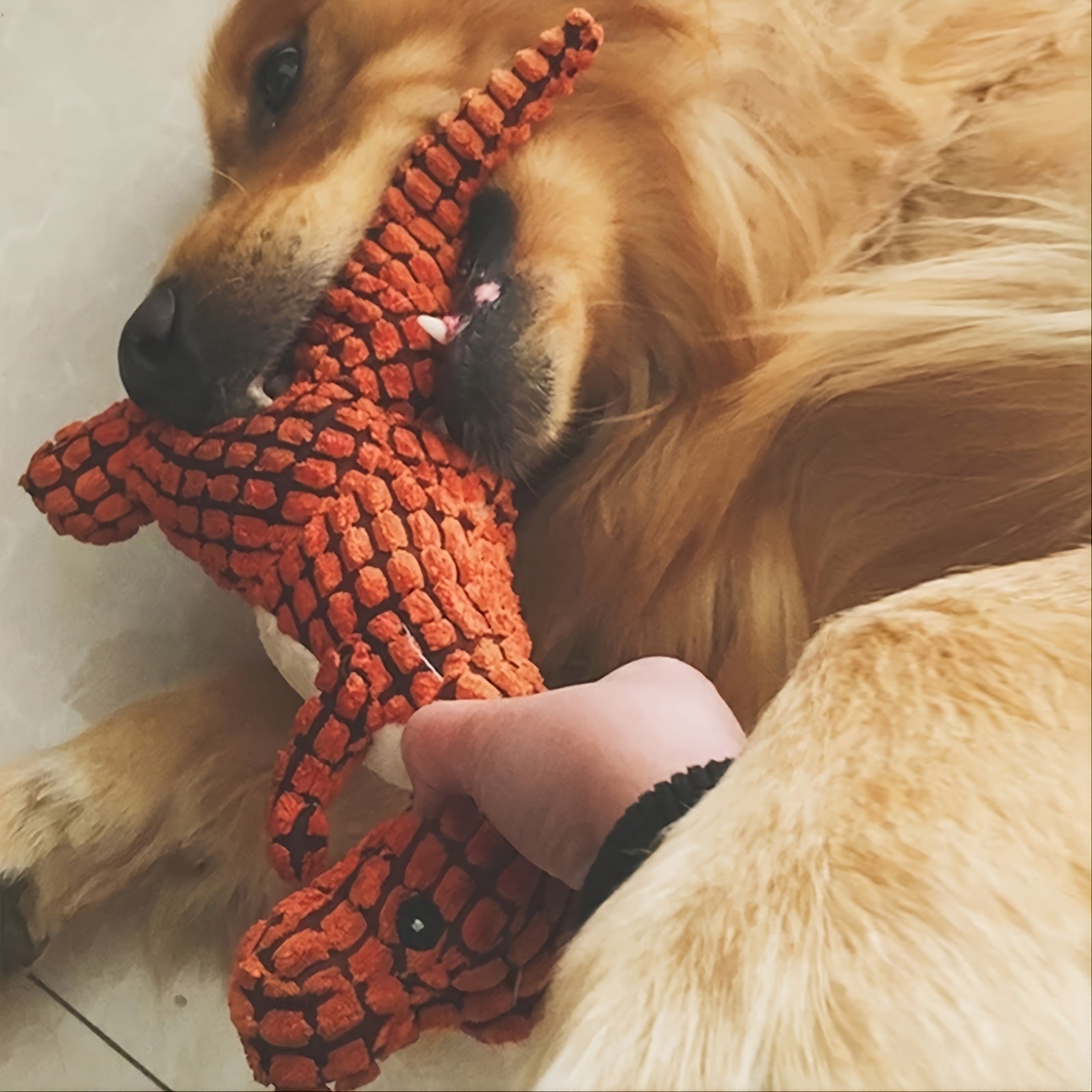 Dinosaur Dog Toy Chew Fun and Dental Health