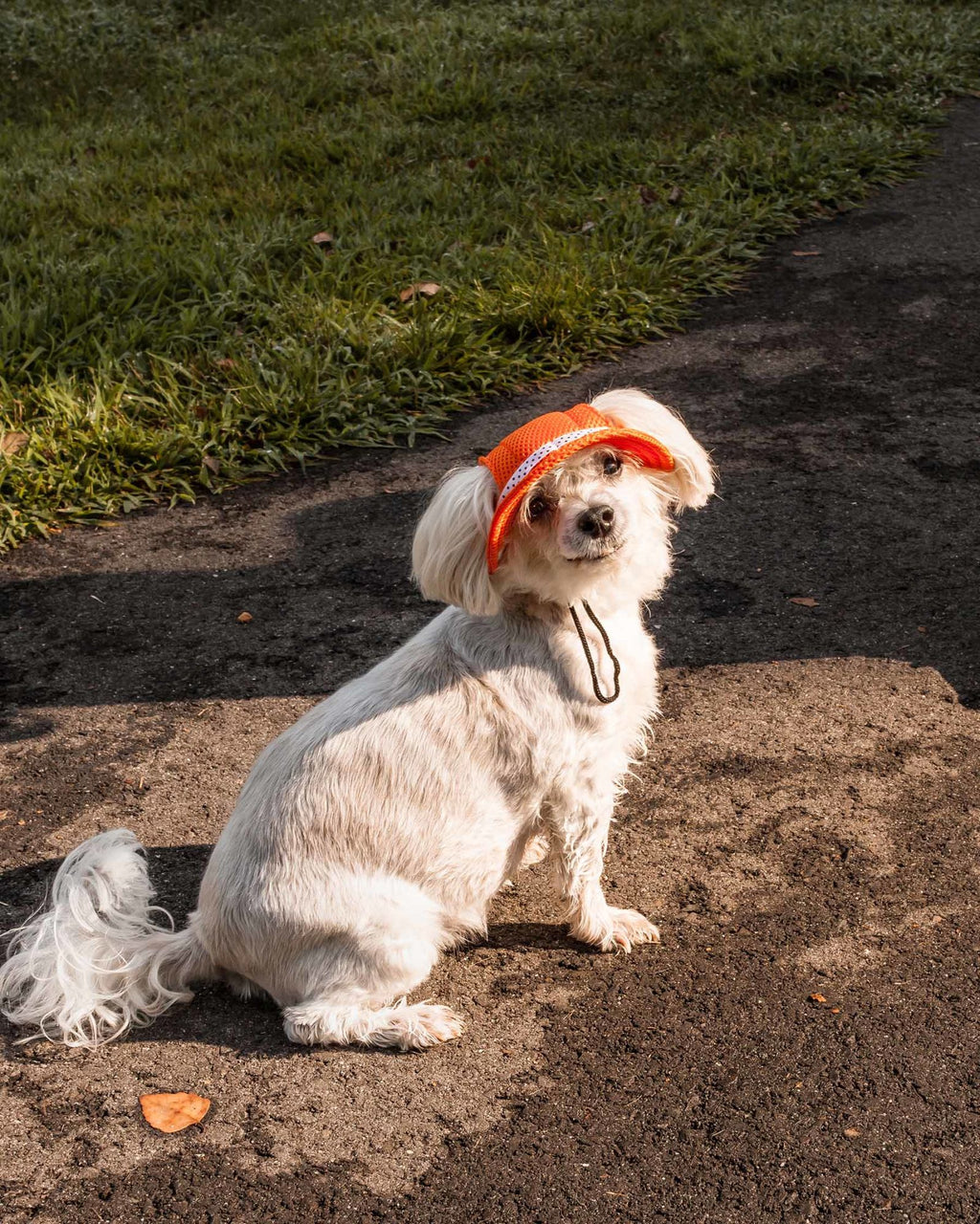 Pet Life Uv Protecting Adjustable Dog Hat