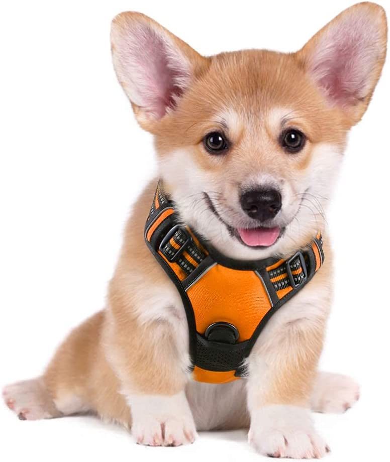 Padded Reflective No-Pull Harness for Dogs