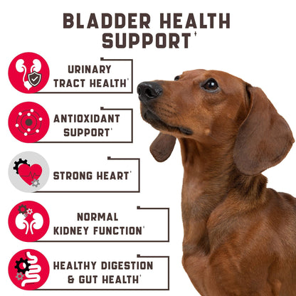 Kinpur - Natural Aid for Urinary Tract Bladder Kidney Health for Dogs