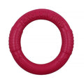 Floating Interactive Ring Training Toy for Dogs
