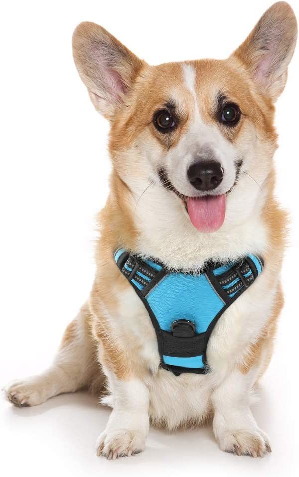 Padded Reflective No-Pull Harness for Dogs
