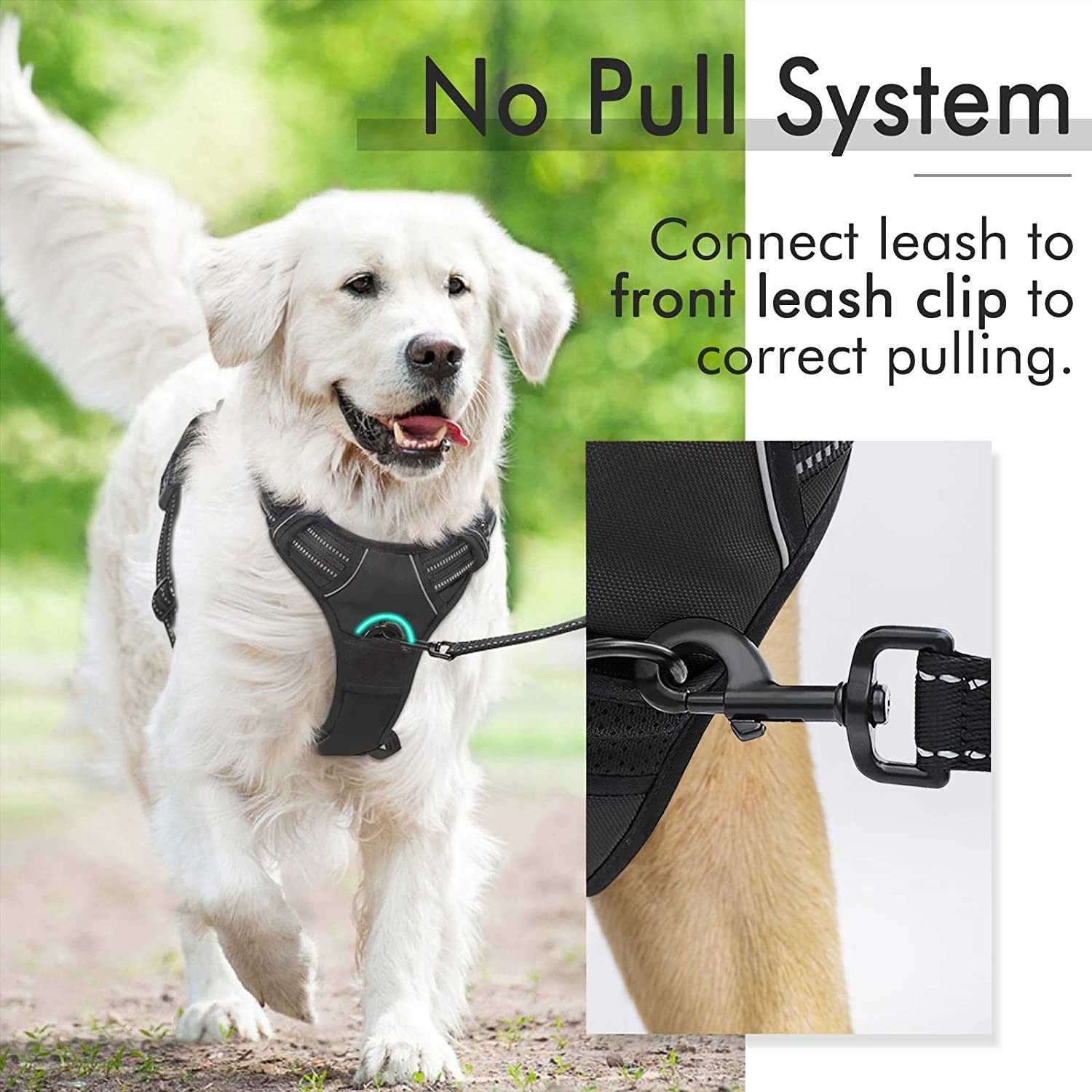 Padded Reflective No-Pull Harness for Dogs