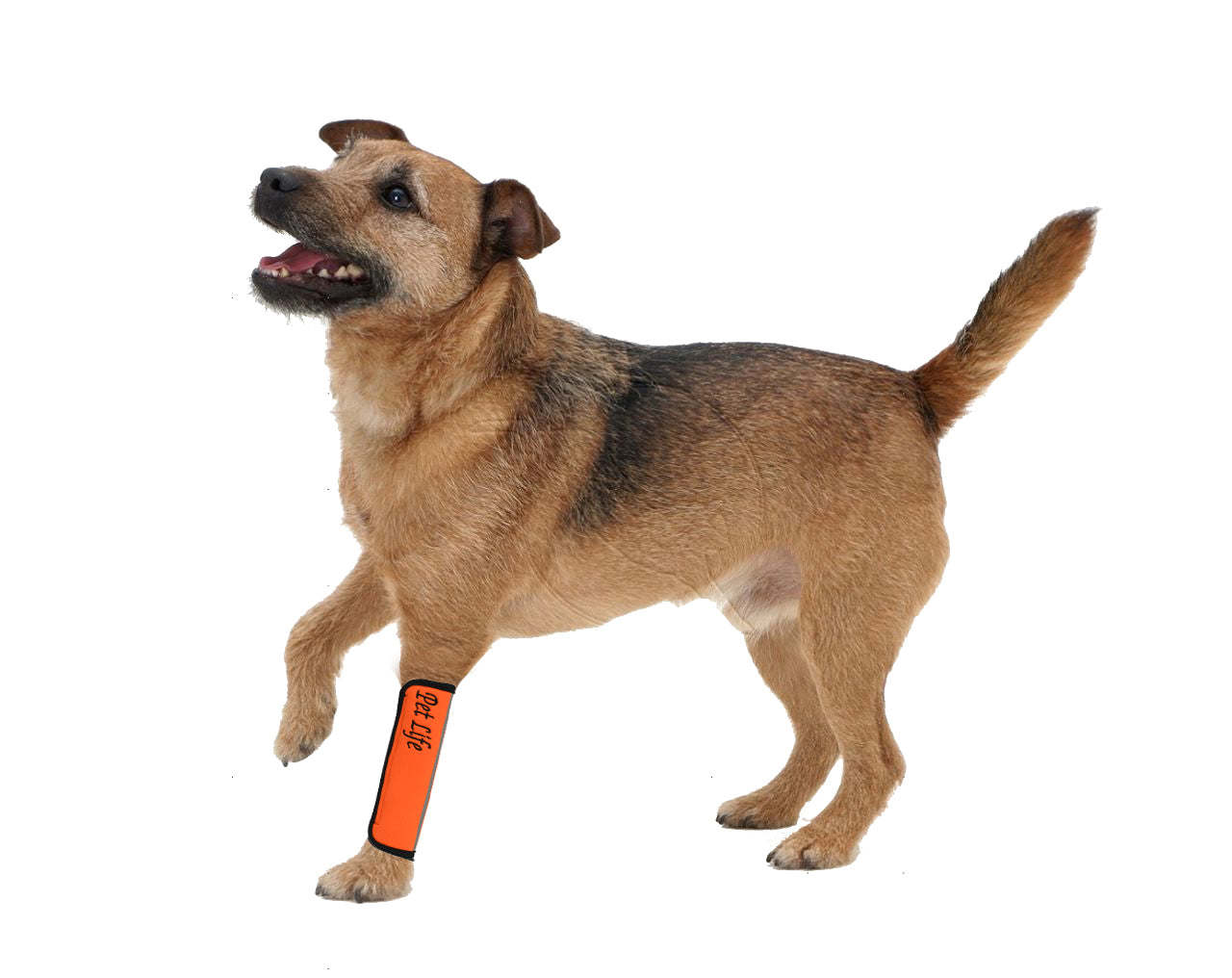 Extreme-Neoprene Protective Joint Sleeves for Dogs - Orange